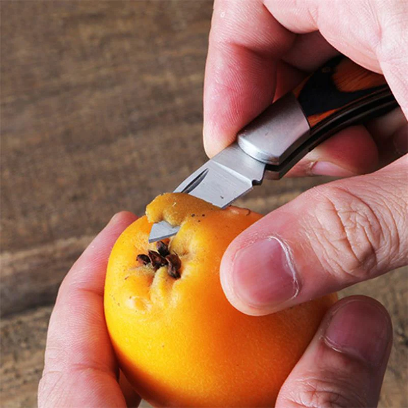 Mini Folding Knife Keychain Wooden Handle Pocket Knives - Image 6